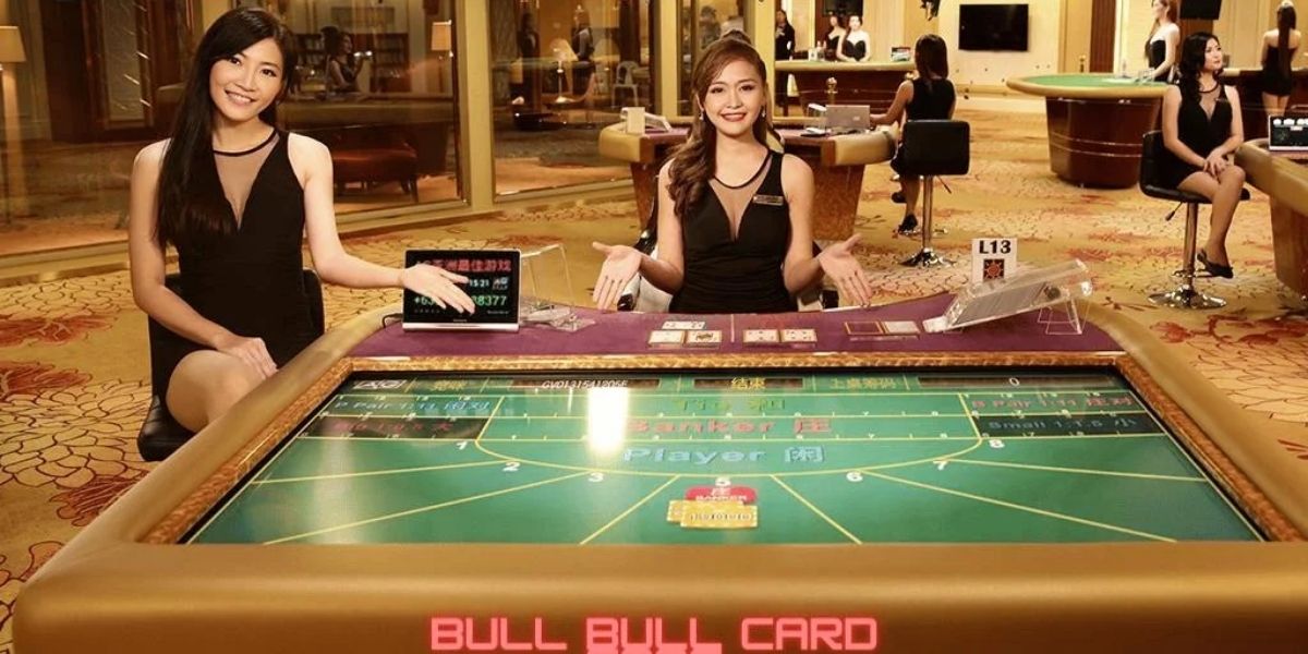 Bull Bull - Cover - kk8.site