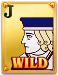Wild Ace Slot - Wild 1 - KK8.site