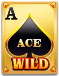 Wild Ace Slot - Wild 4 - KK8.site